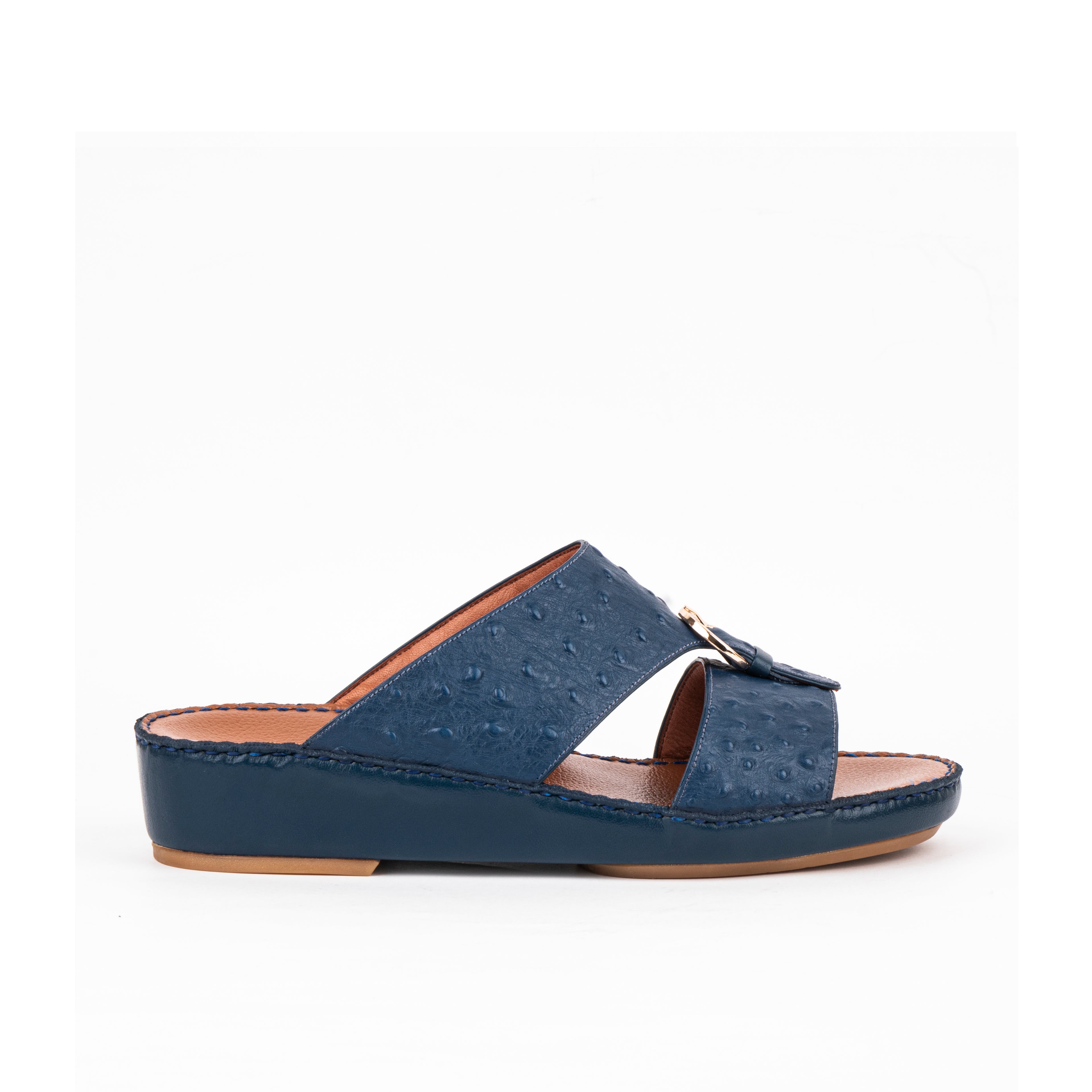 1493 النعامة - بنين