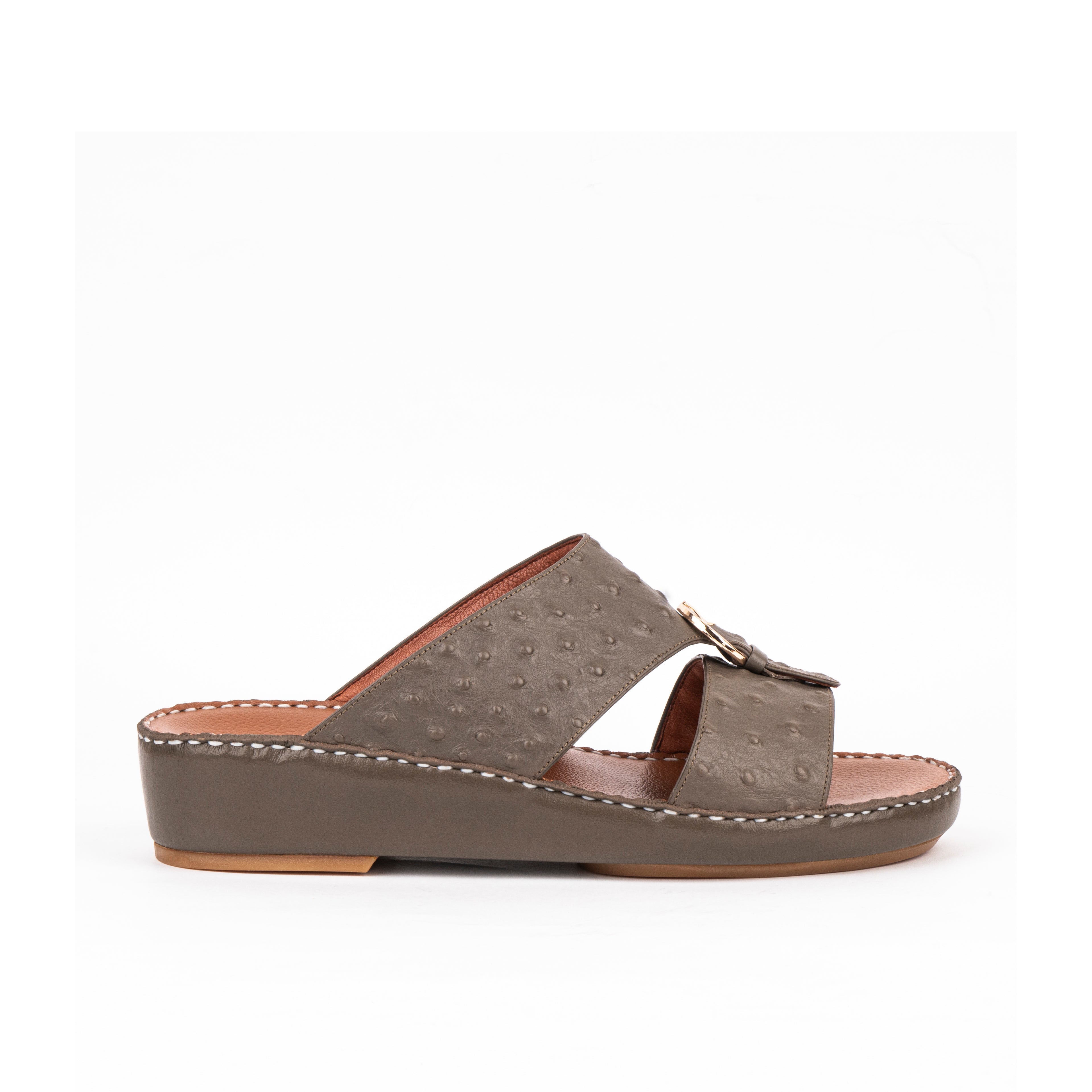 1493 النعامة - بنين